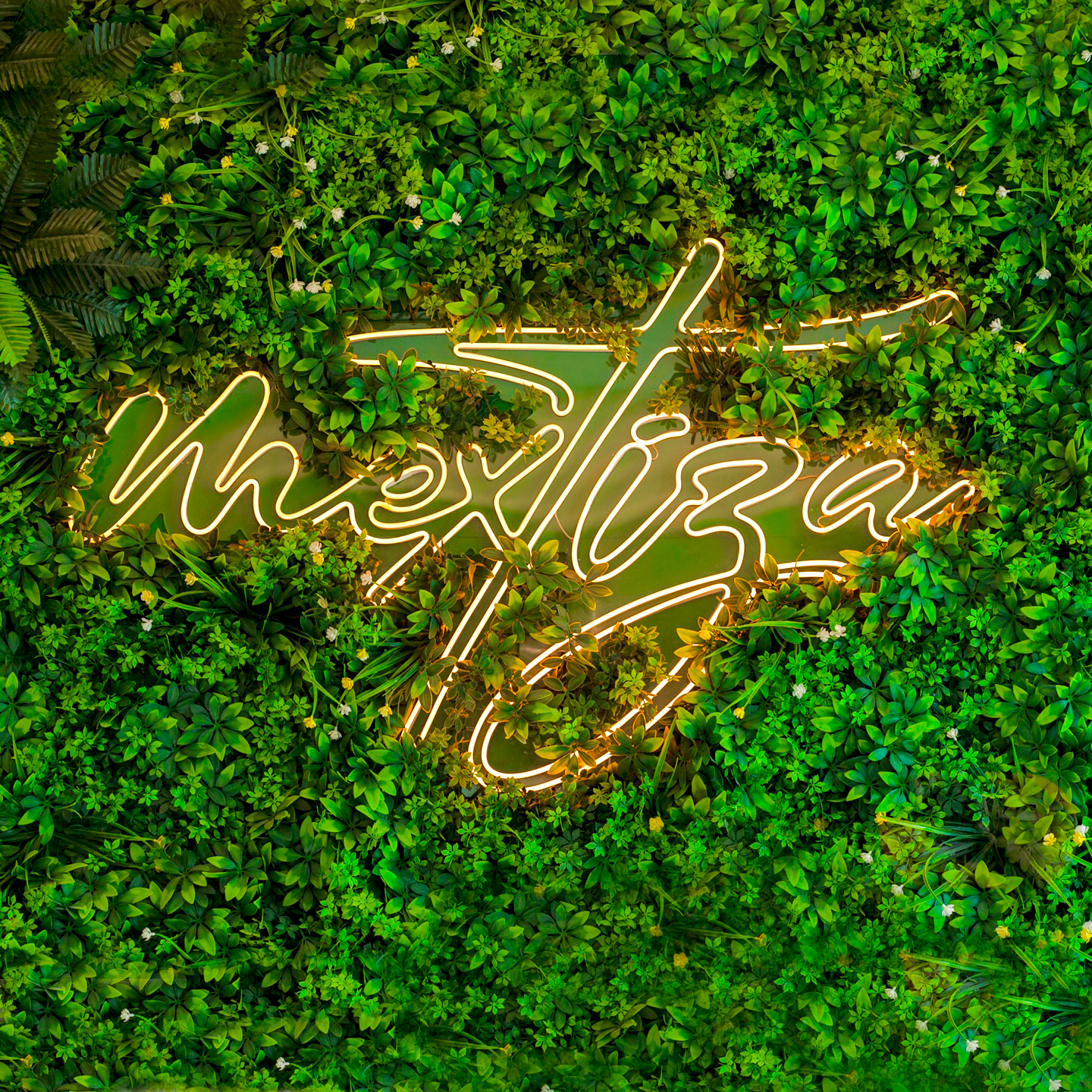 Meztiza_ vegetancion